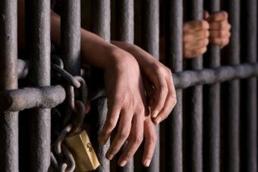 Tekirdağ 2 Nolu F Tipi Cezaevi Görüşmesi Hakkında Notlar
