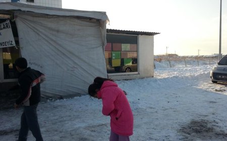 VAN AFETZEDE SOSYAL İNCELEME VE DEĞERLENDİRME RAPORU