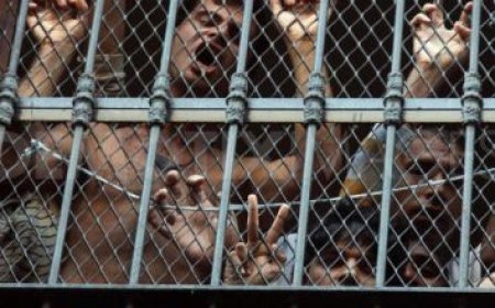 Mültecilerin Hakları İhlal Edilmeye Devam Ediliyor