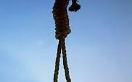 Suudi Arabistan Rejimini Bedeli İnsan Hayatı Olan Keyfi Uygulamalardan Vazgeçmeye Davet Ediyoruz