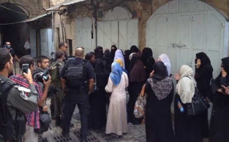 İşgalci İsrail Yönetimi Mescidi Aksa’yı Açmalı, Filistin Topraklarını Terk Etmelidir