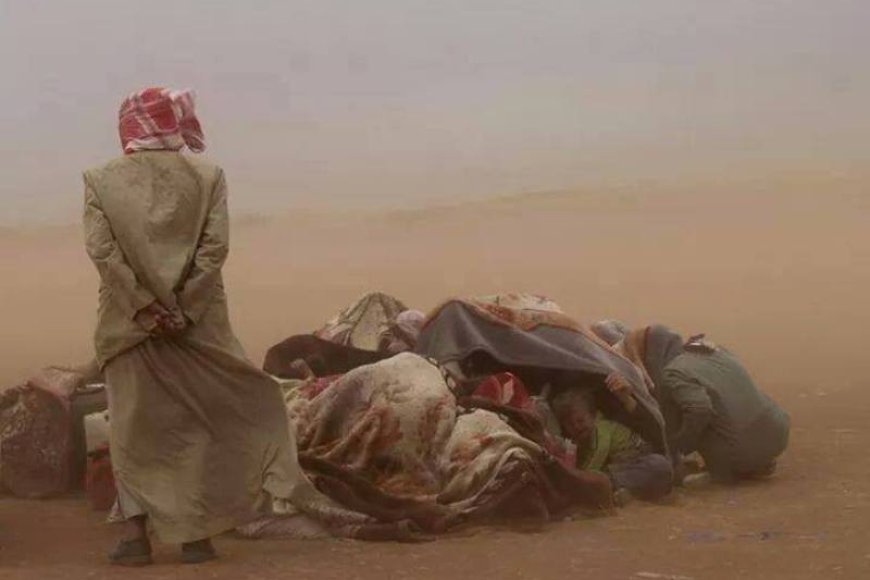 MAZLUMDER KOBANE SINIRINDA