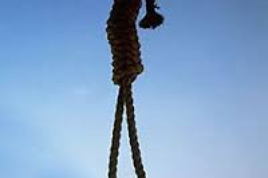 Suudi Arabistan Rejimini Bedeli İnsan Hayatı Olan Keyfi Uygulamalardan Vazgeçmeye Davet Ediyoruz