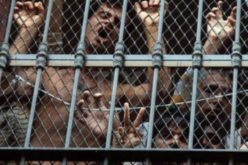 Mültecilerin Hakları İhlal Edilmeye Devam Ediliyor