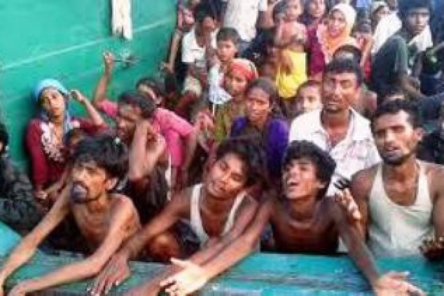 ÖLÜME TERKEDİLEN ARAKANLI MÜLTECİLER İÇİN HAREKETE GEÇİLMELİDİR !