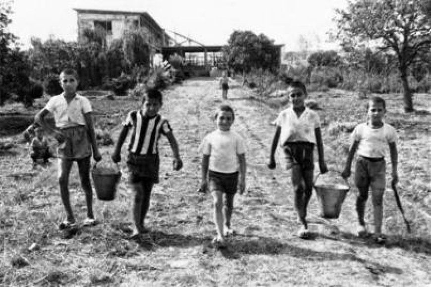 Tuzla’daki Ermeni Yetimhanesinin Yıkımı Durdurulup Asıl Sahipleri Olan Ermeni Yetimlere İadesi Sağlanmalıdır !