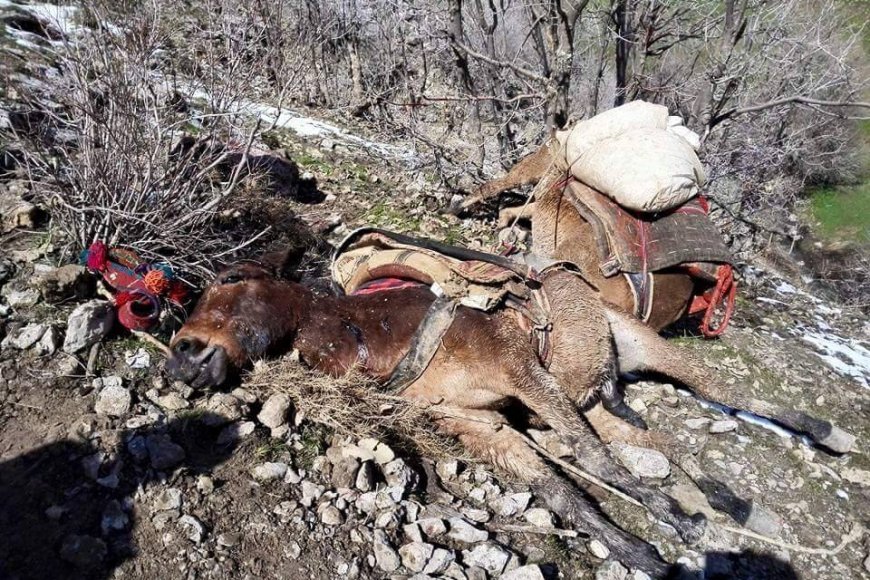 MAZLUMDER Şırnak İli Uludere İlçesi Roboski Köyü Olayları İnceleme ve Araştırma Raporu
