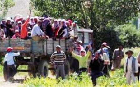 Mevsimlik İşçilere Yönelik Ayrımcılık Kabul Edilemez!