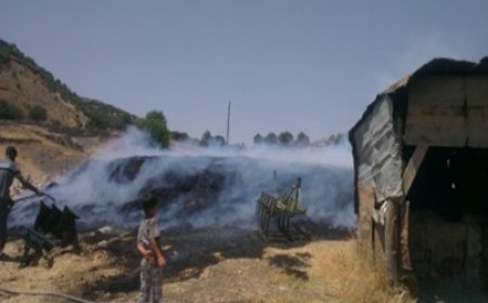 DEVLET KÖY VE YEŞİL ALANLARI YAKMAKTAN DERHAL VAZGEÇMELİDİR!