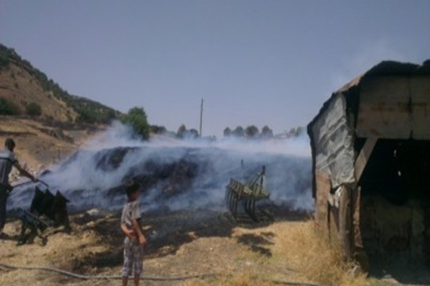 DEVLET KÖY VE YEŞİL ALANLARI YAKMAKTAN DERHAL VAZGEÇMELİDİR!