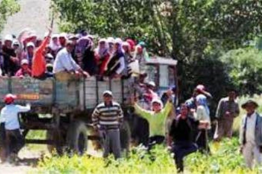 Mevsimlik İşçilere Yönelik Ayrımcılık Kabul Edilemez!