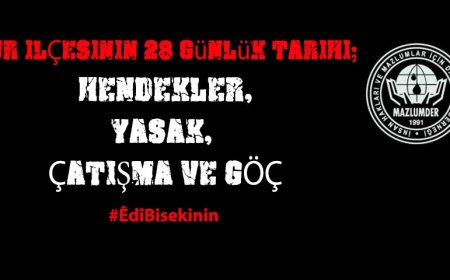 Sur İlçesinin 28 Günlük Tarihi; Hendekler, Yasak, Çatışma ve Göç