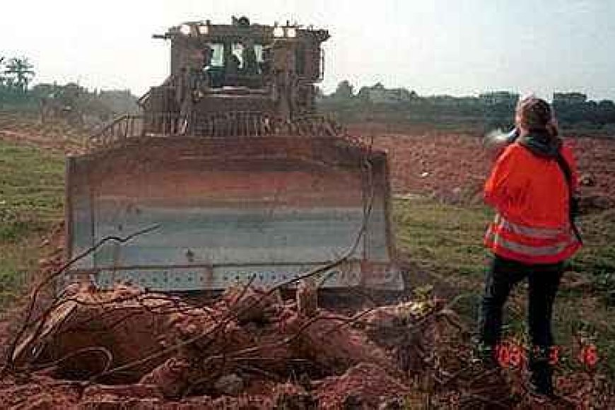Vefatının Yıldönümünde Rachel Corrie'yi Saygıyla Anıyoruz