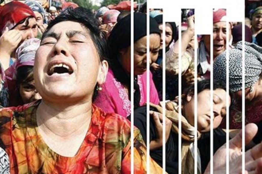 Doğu Türkistan İnsan Hakları Raporu