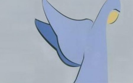 Başörtüsünün Güvenlik Gerekçesi İleri Sürülerek Cebren Çıkartılması Kabul Edilemez!