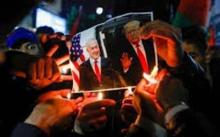 KAOS PLANINA HAYIR! DİYORUZ