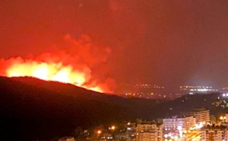 Hatay’daki Orman Yangınları Soruşturulmalı, Sorumlular Cezalandırılmalıdır!
