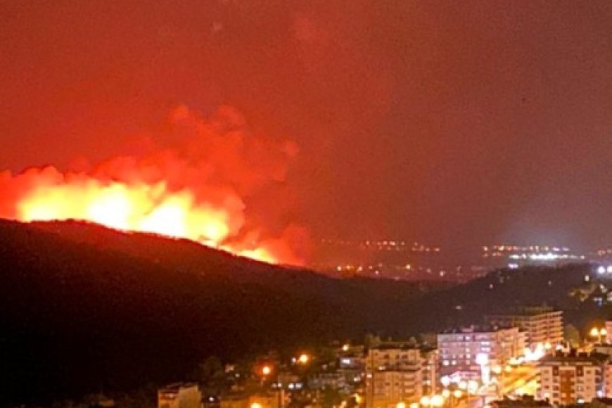 Hatay’daki Orman Yangınları Soruşturulmalı, Sorumlular Cezalandırılmalıdır!