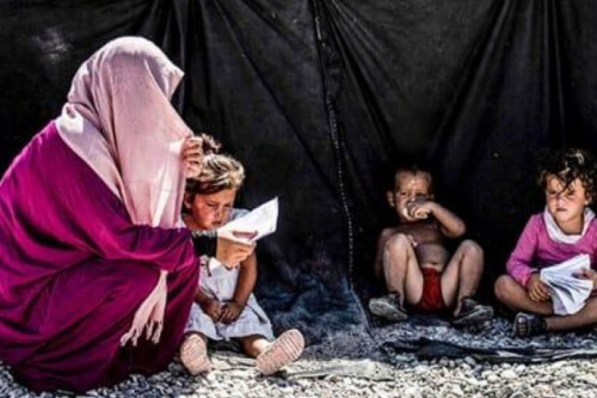 Hol ve Roj Kamplarında Kalan Türkiye Vatandaşı Kadın ve Çocuklara Dair Değerlendirme