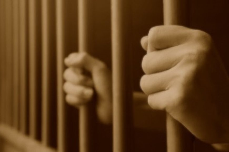 ADANA F TİPİ CEZAEVİNDEKİ İŞKENCE İDDİALARI