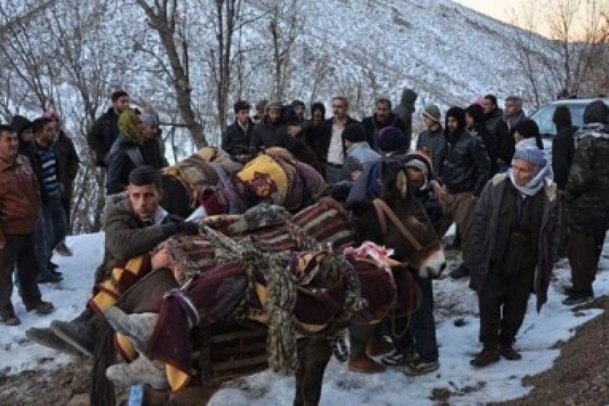 Roboski Paylaşımları Nedeniyle Kişilerin Cezalandırılması İfade Özgürlüğünün İhlalidir