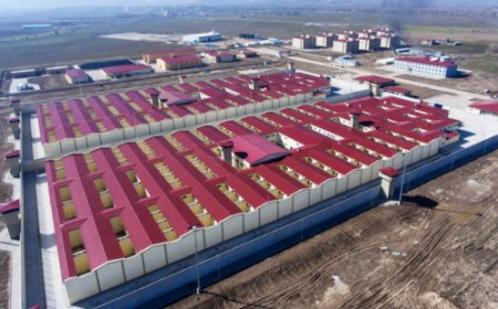 İnsan Onurunu ve Yaşam Hakkını Tehdit Eden Y ve S Tipi Cezaevi Uygulamalarından Vazgeçilmelidir