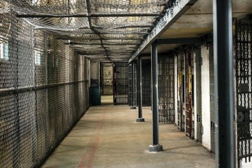 İşgal Hapishanelerindeki Sistematik İşkence ve İhlaller Durdurulmalıdır