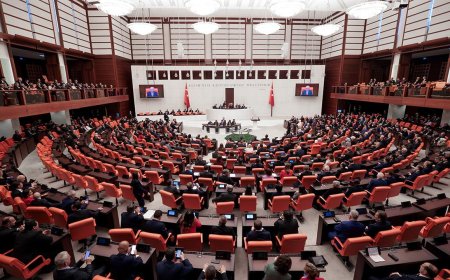 Kardeşlik, Dayanışma ve Kalıcı Barış İçin Meclis İradesini Destekliyoruz